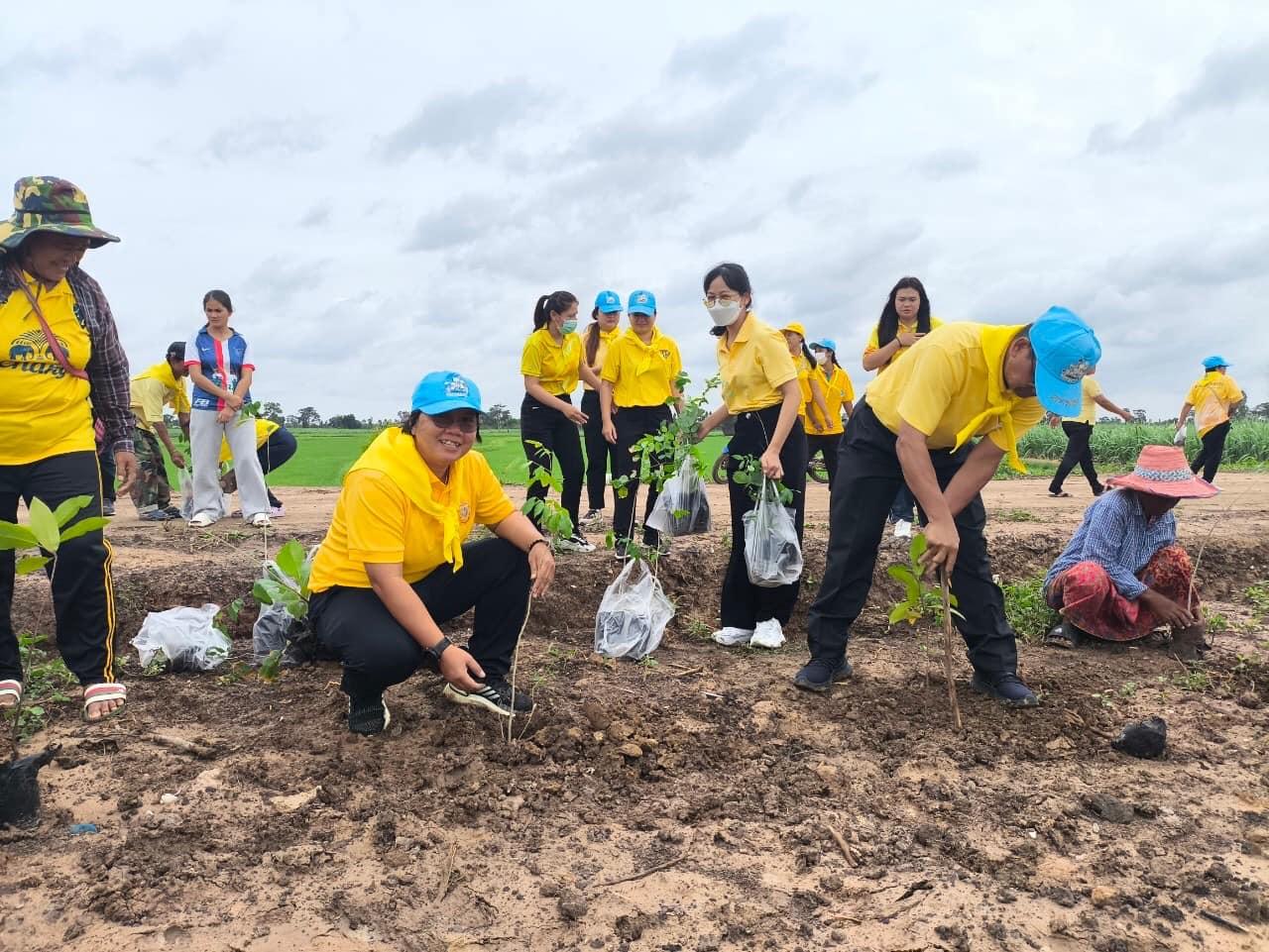 ภาพประกอบที่ 7