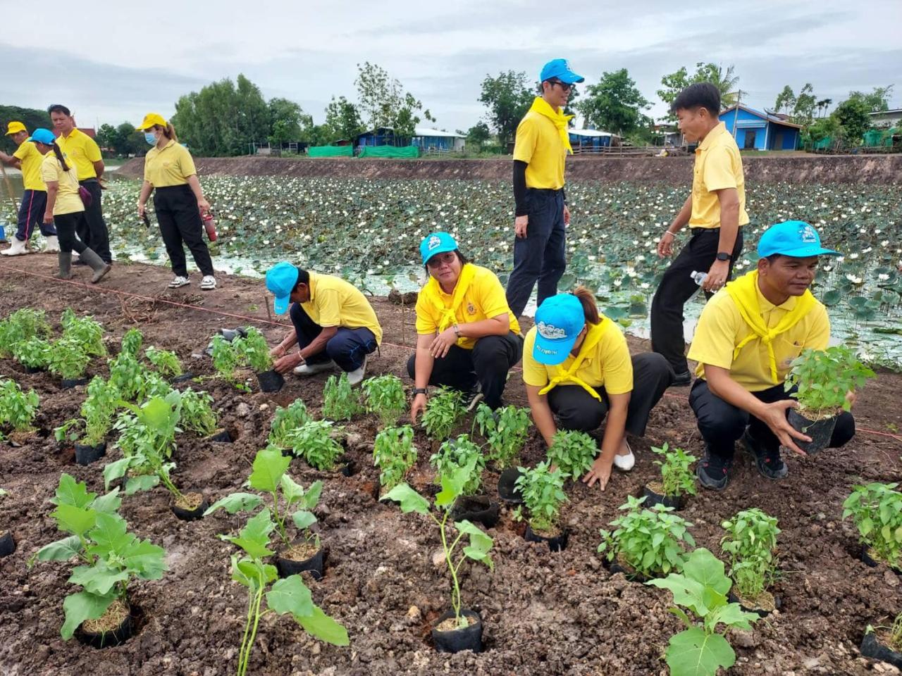 ภาพประกอบที่ 9