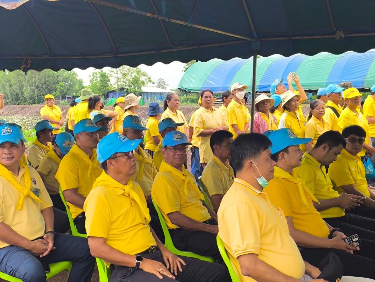 ภาพประกอบที่ 11