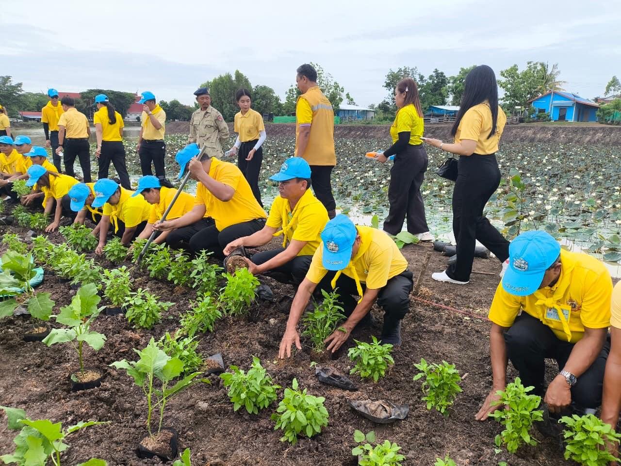 ภาพประกอบที่ 12