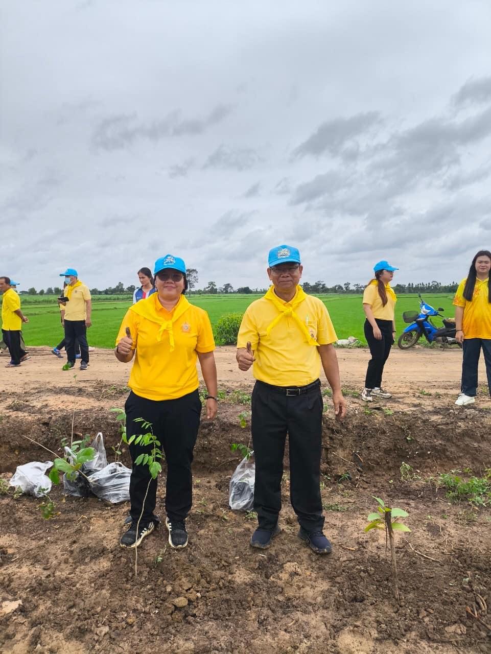 ภาพประกอบที่ 13