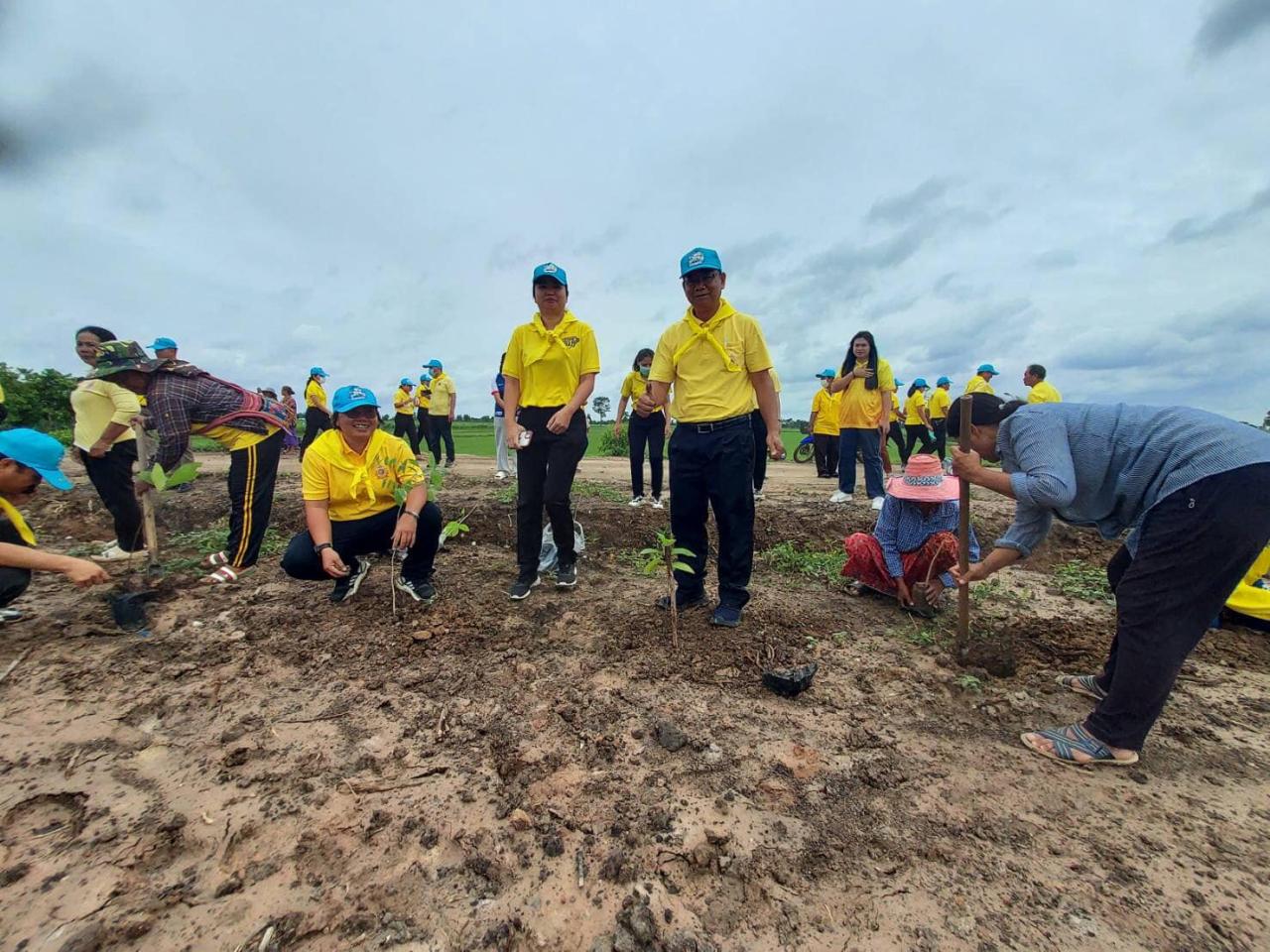 ภาพประกอบที่ 14