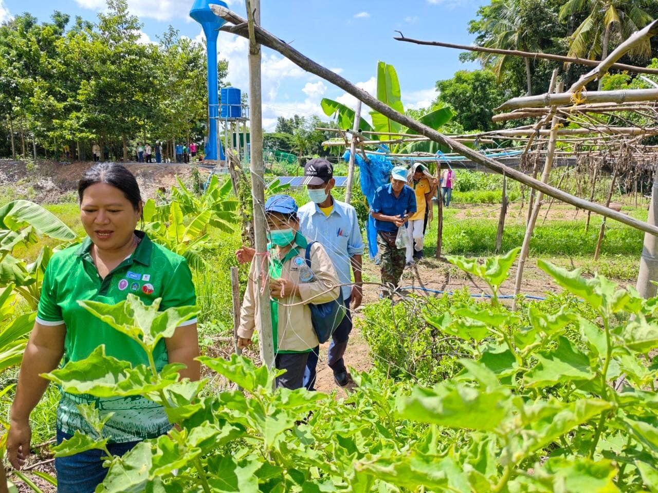 ภาพประกอบที่ 8