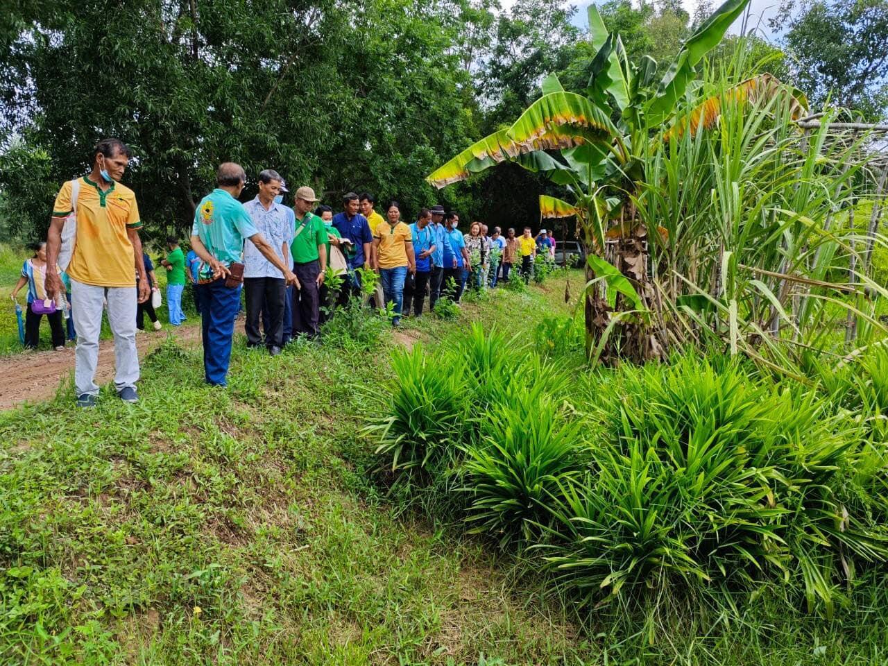 ภาพประกอบที่ 10