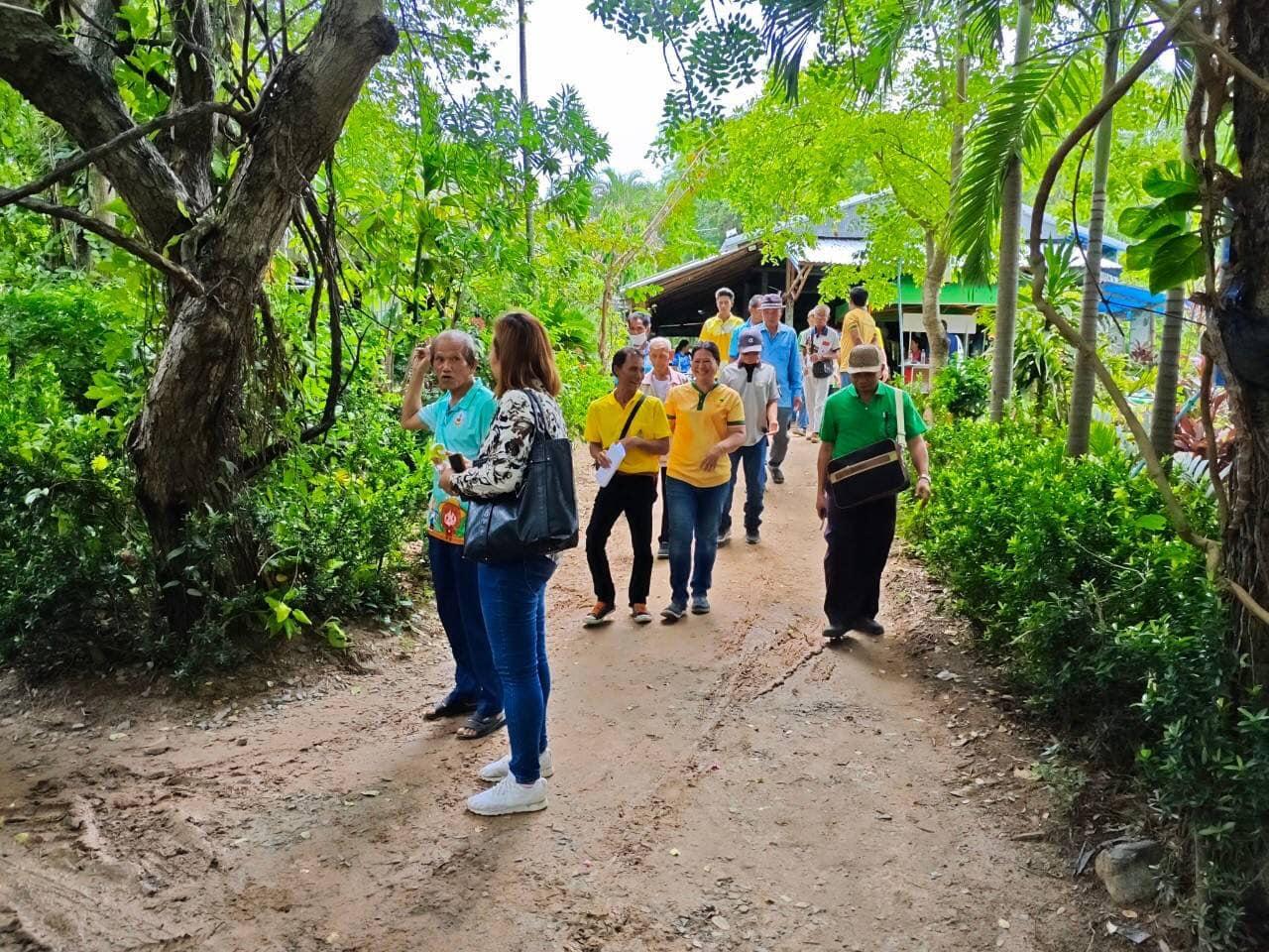 ภาพประกอบที่ 11