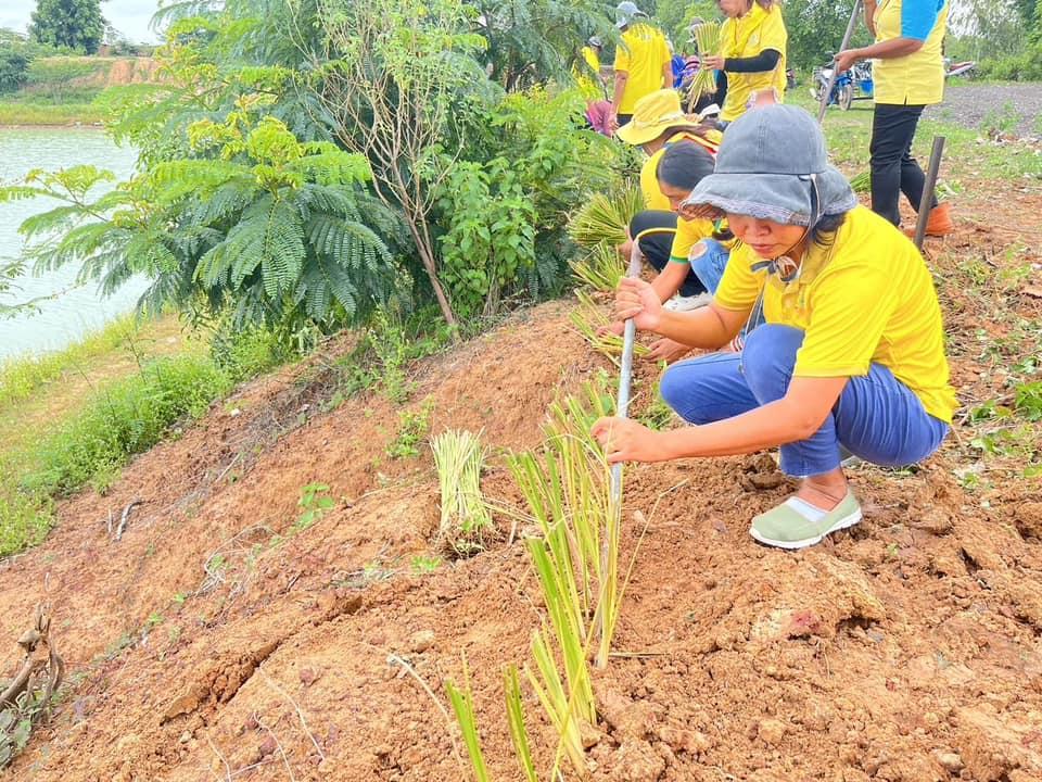 ภาพประกอบที่ 4