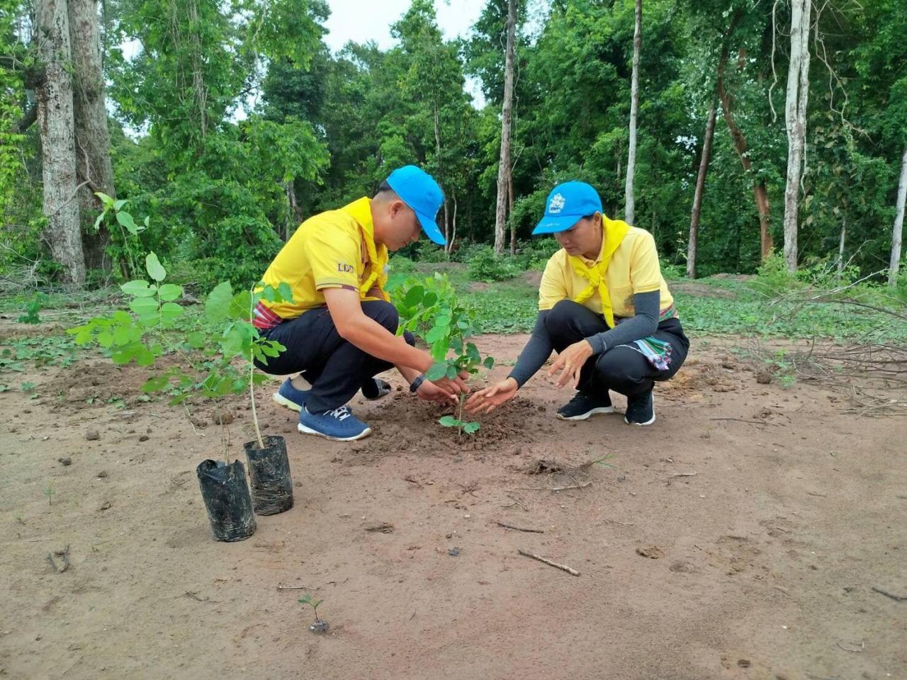 ภาพประกอบที่ 1