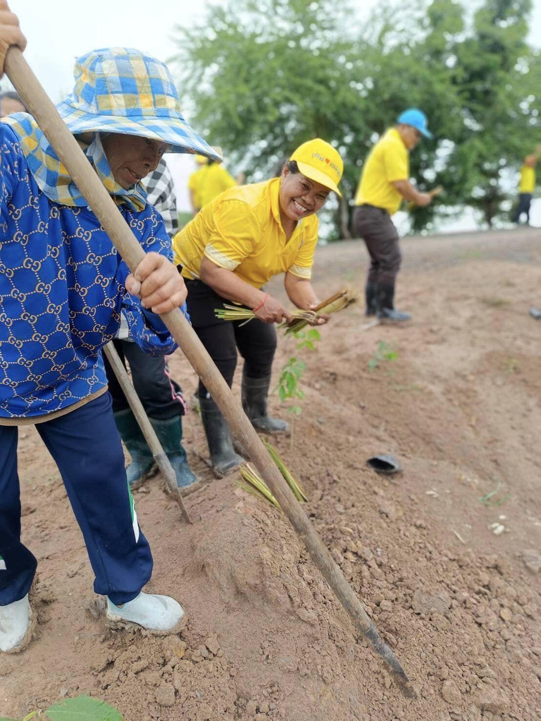 ภาพประกอบที่ 8