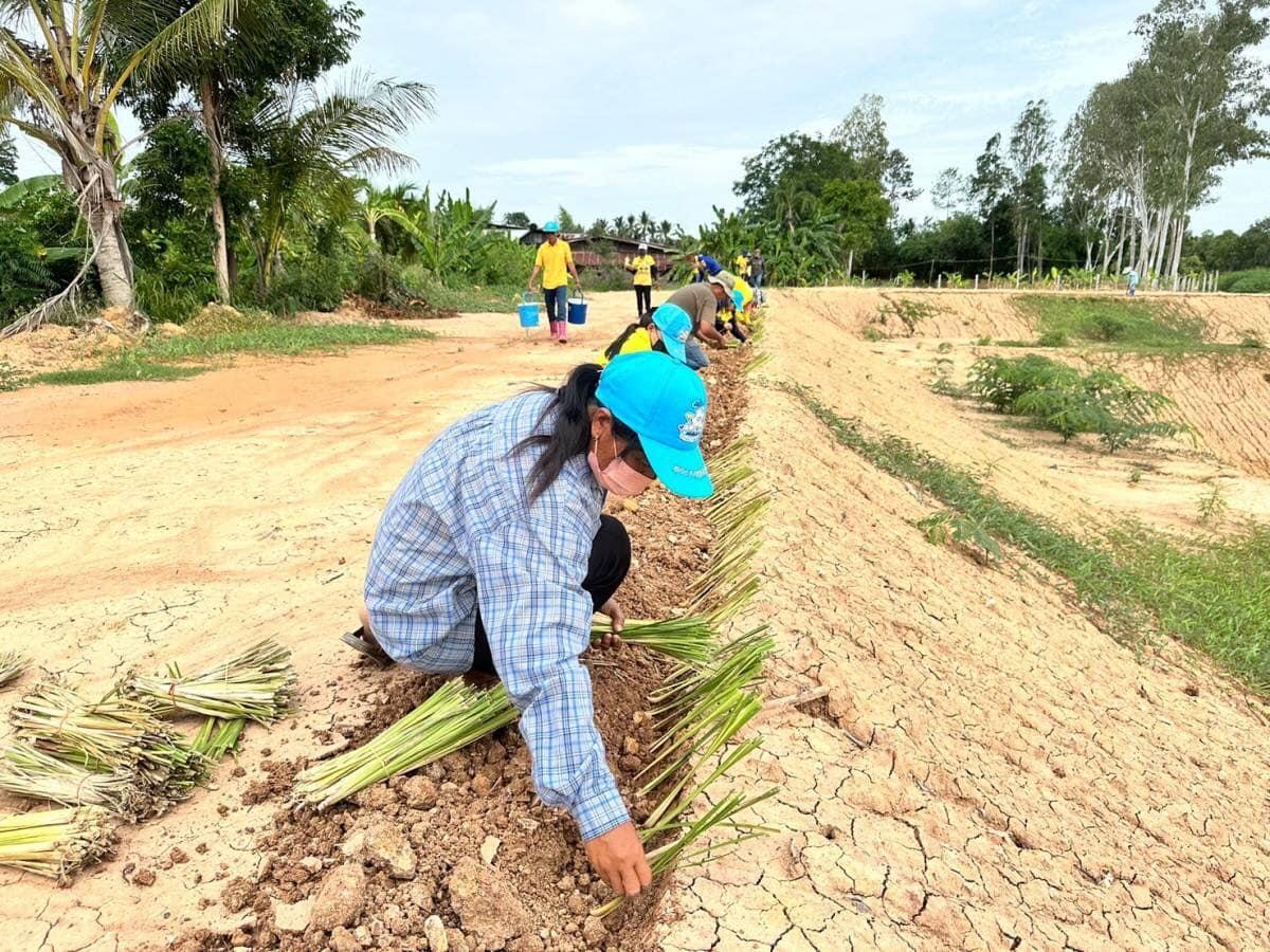 ภาพประกอบที่ 15