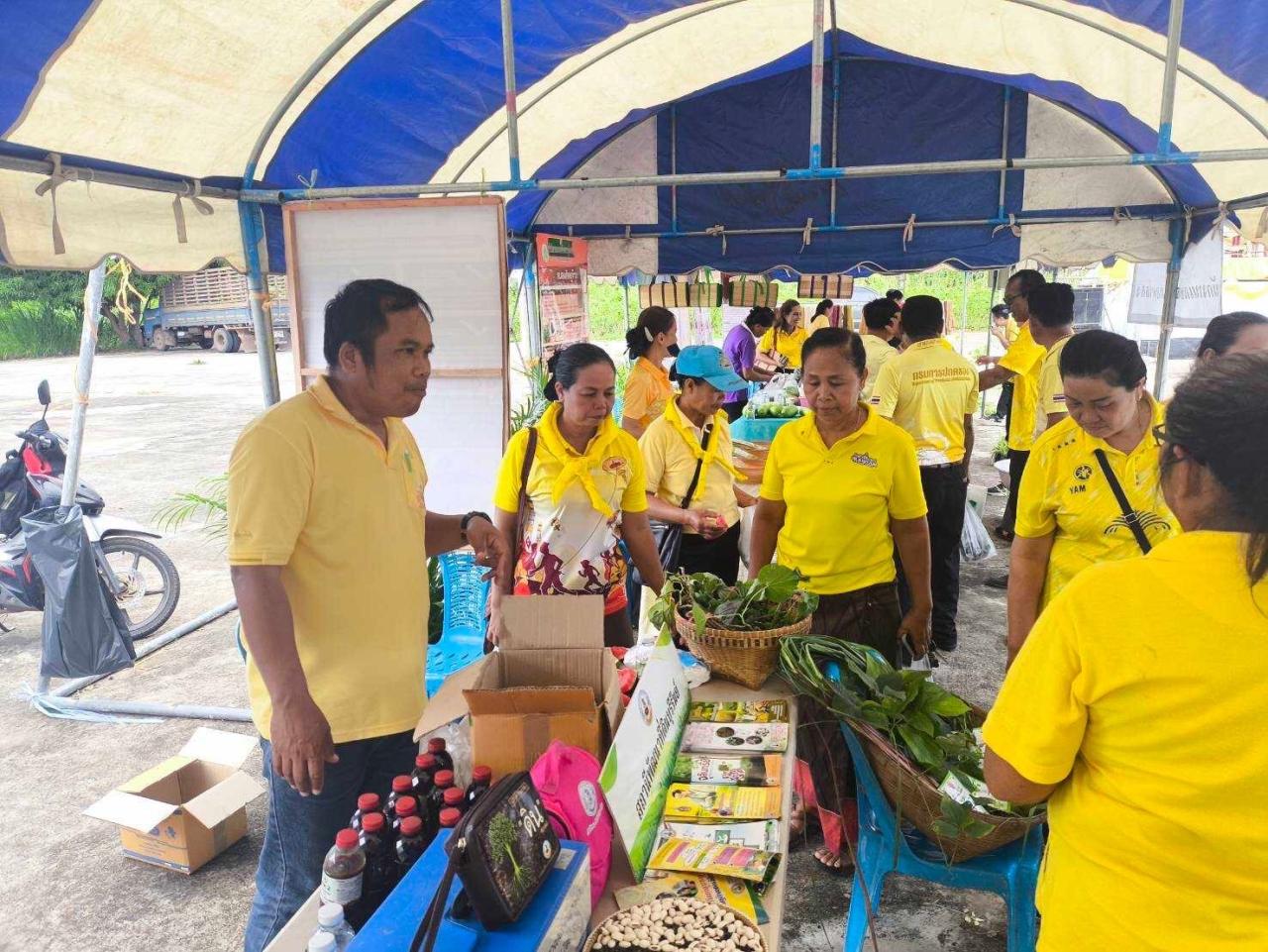 ภาพประกอบที่ 23