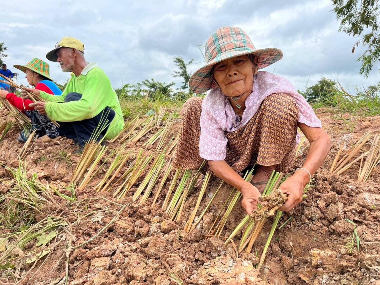 ภาพประกอบที่ 6