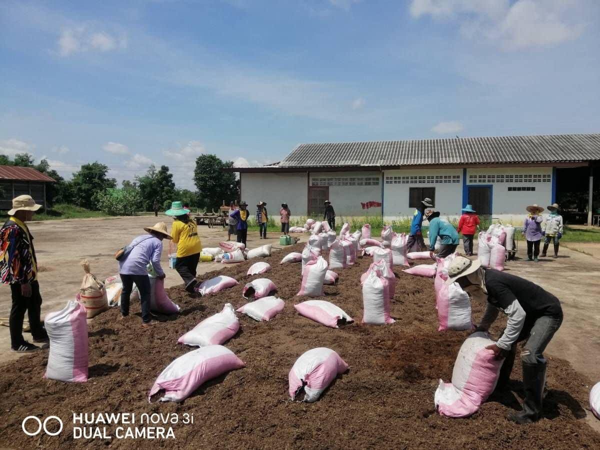 ภาพประกอบที่ 13