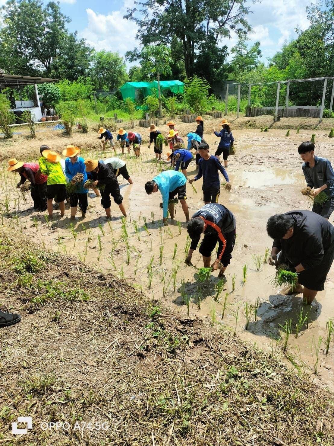 ภาพประกอบที่ 6