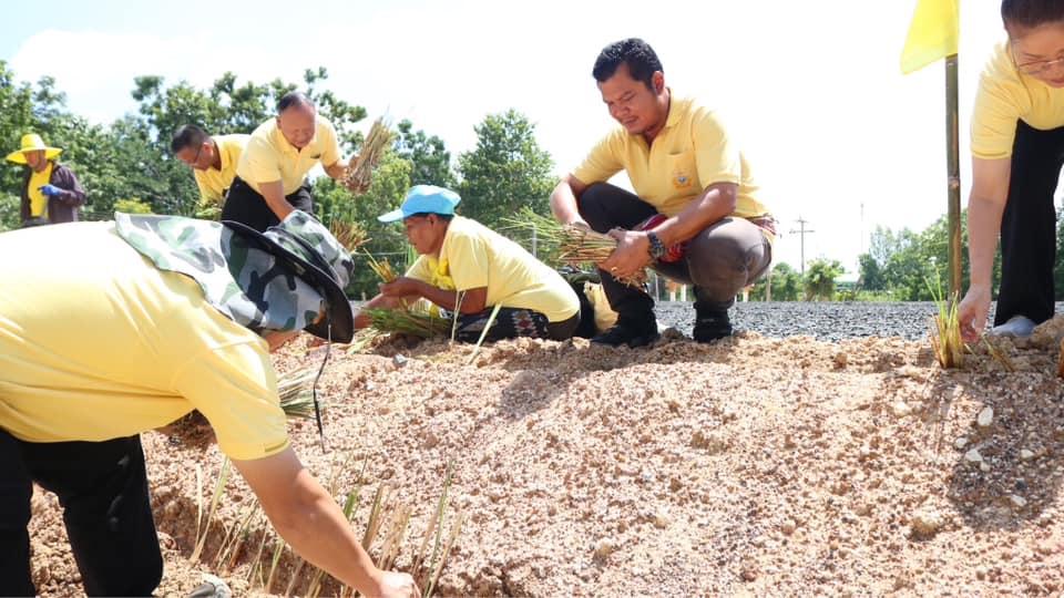 ภาพประกอบที่ 15