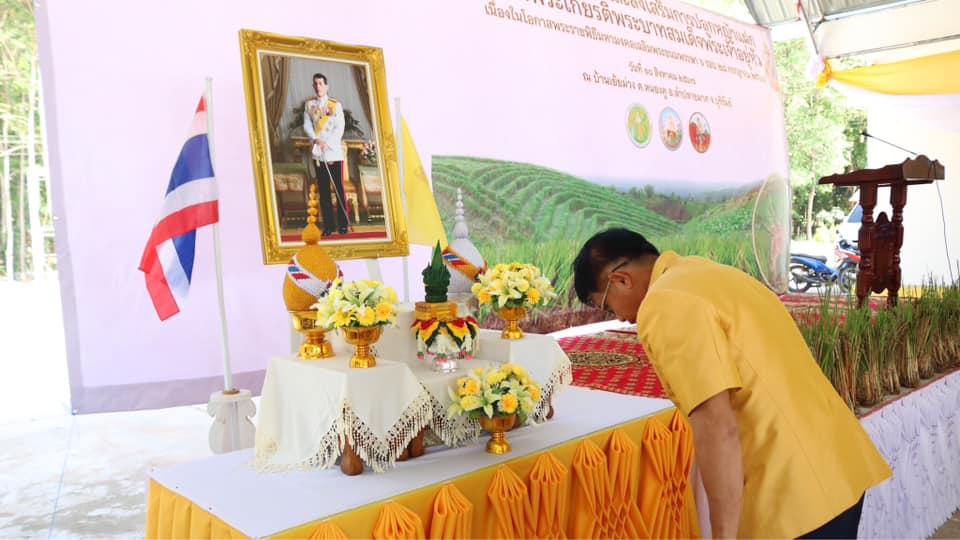 ภาพประกอบที่ 24