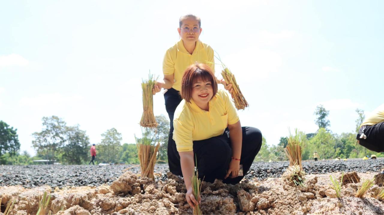 ภาพประกอบที่ 44