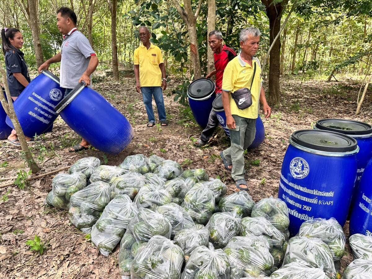 ภาพประกอบที่ 1
