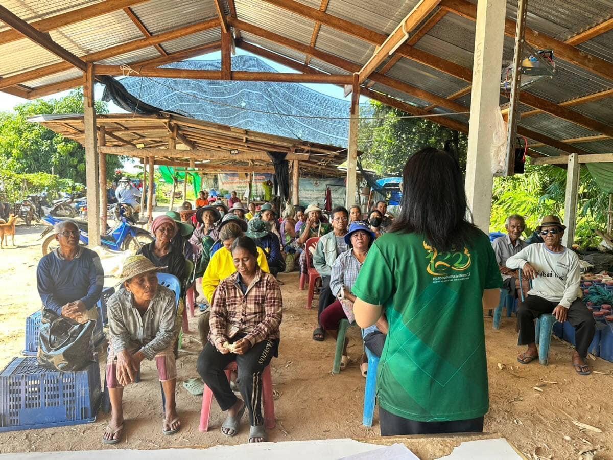 ภาพประกอบที่ 15