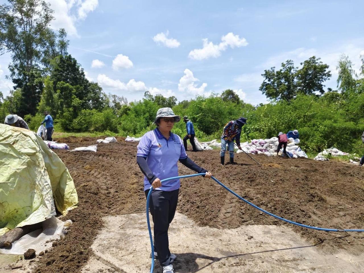 ภาพประกอบที่ 11