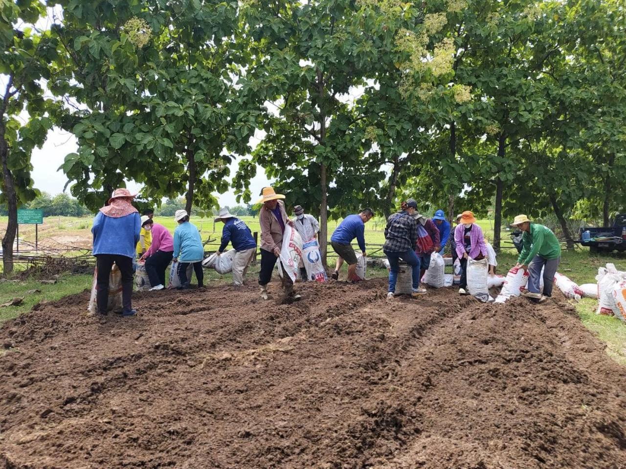 ภาพประกอบที่ 8