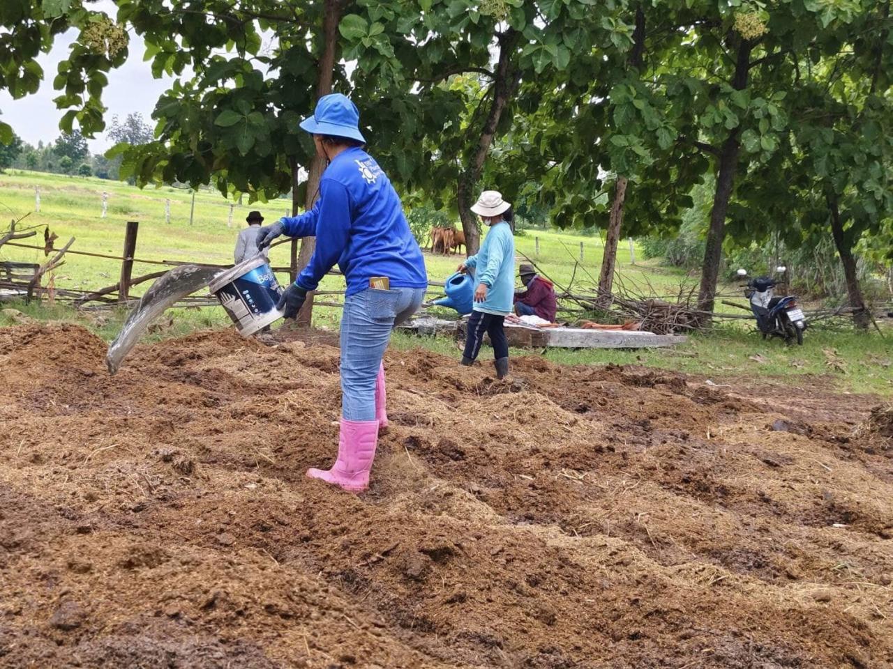 ภาพประกอบที่ 11