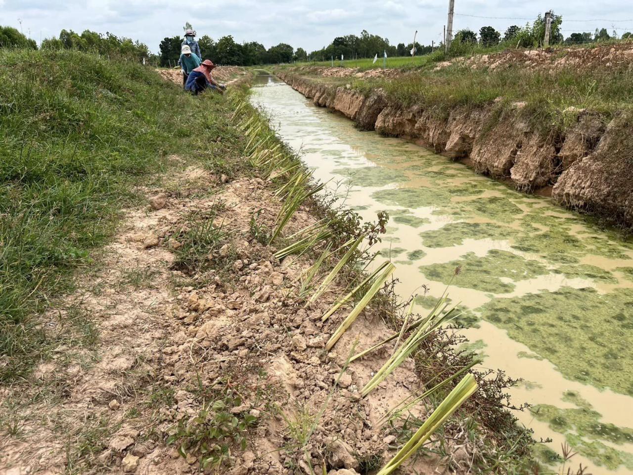 ภาพประกอบที่ 15