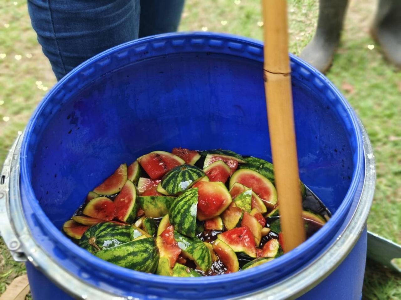 ภาพประกอบที่ 17