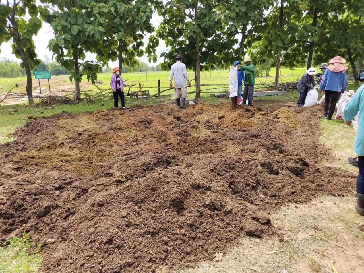 ภาพประกอบที่ 19