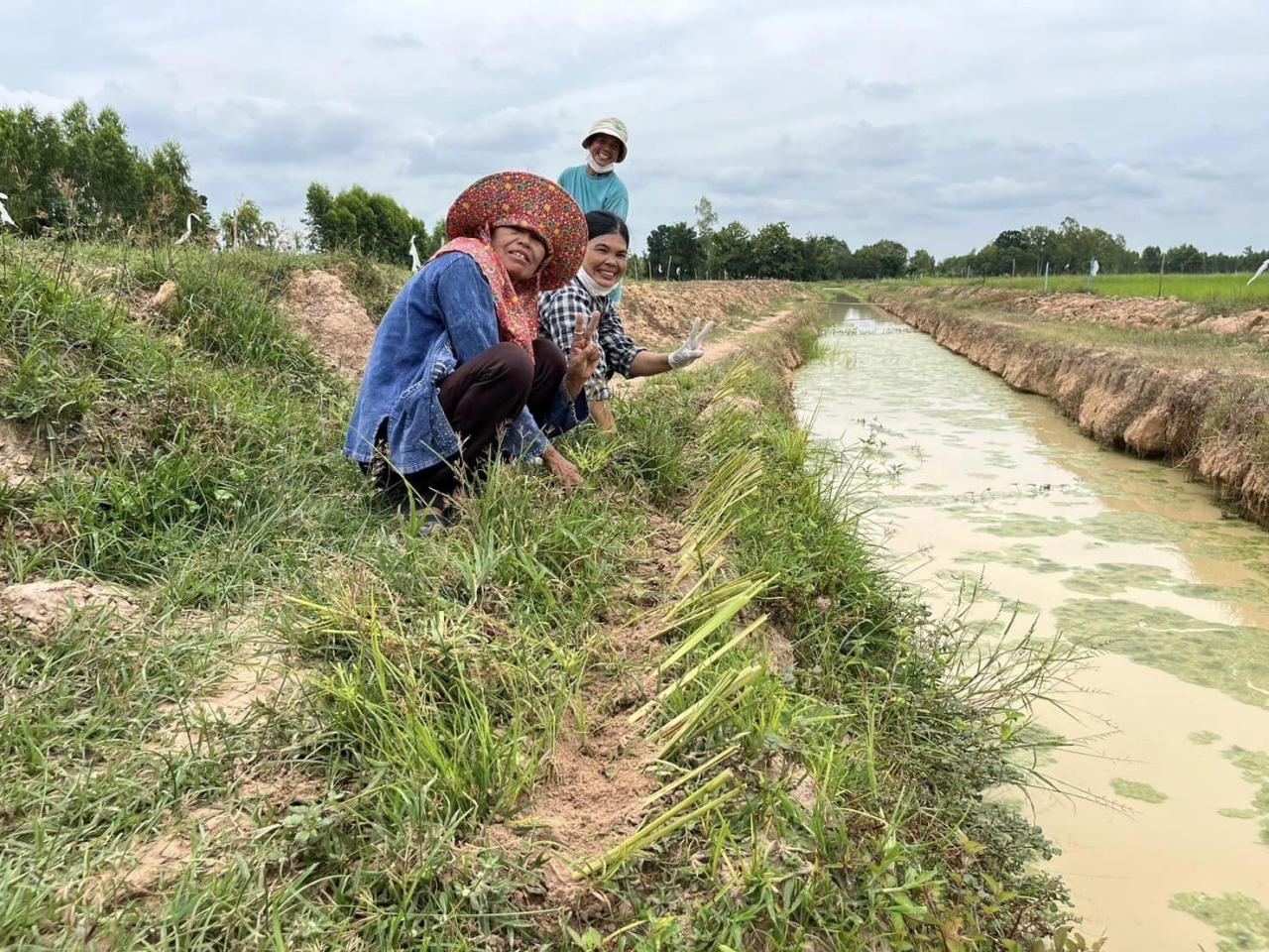 ภาพประกอบที่ 23