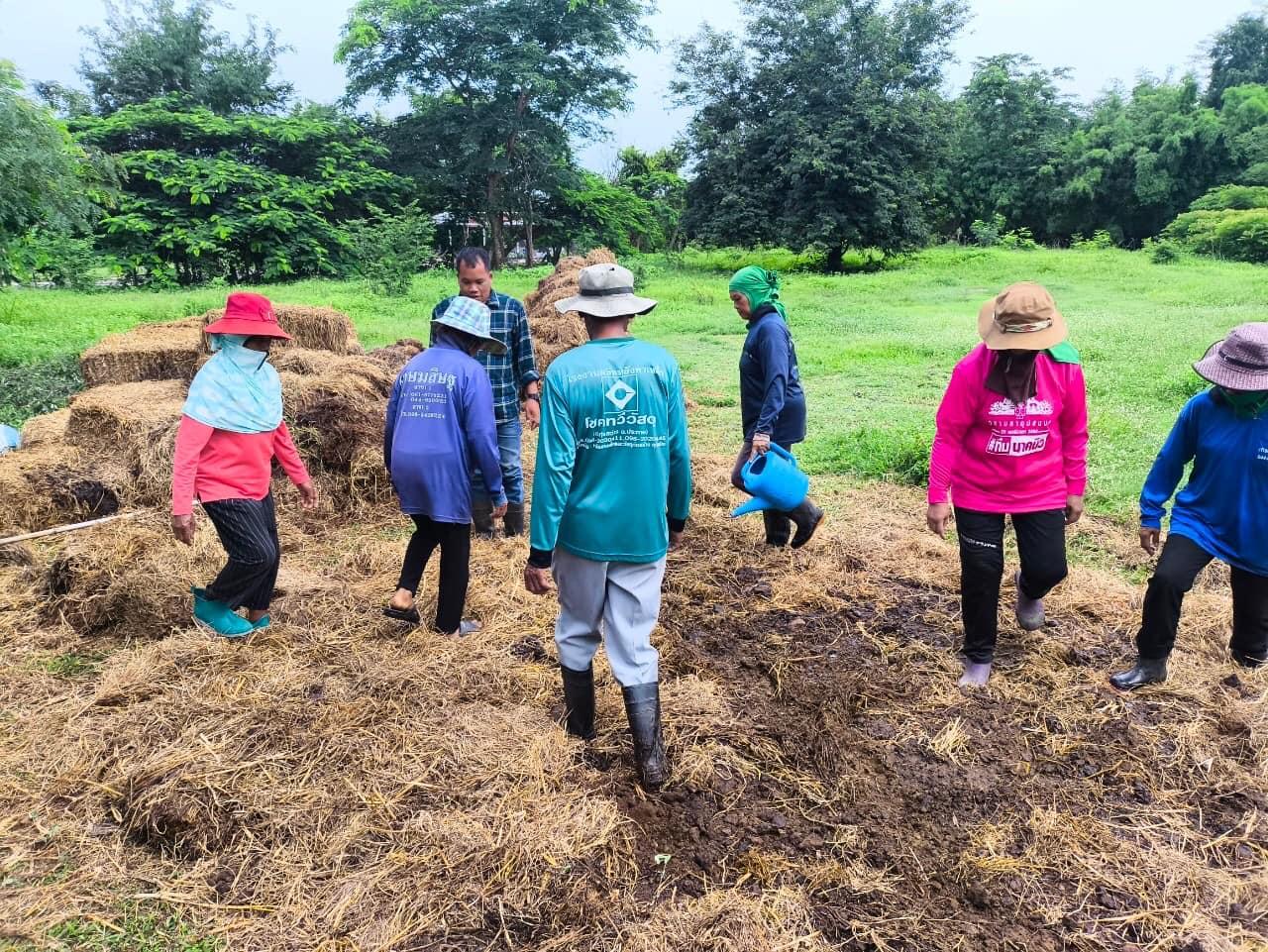 ภาพประกอบที่ 1