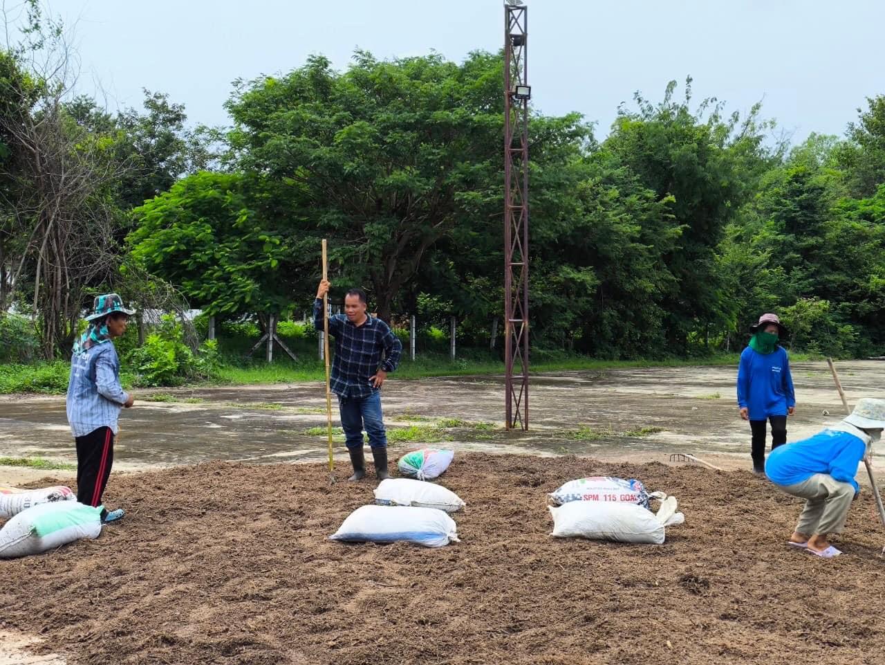 ภาพประกอบที่ 2