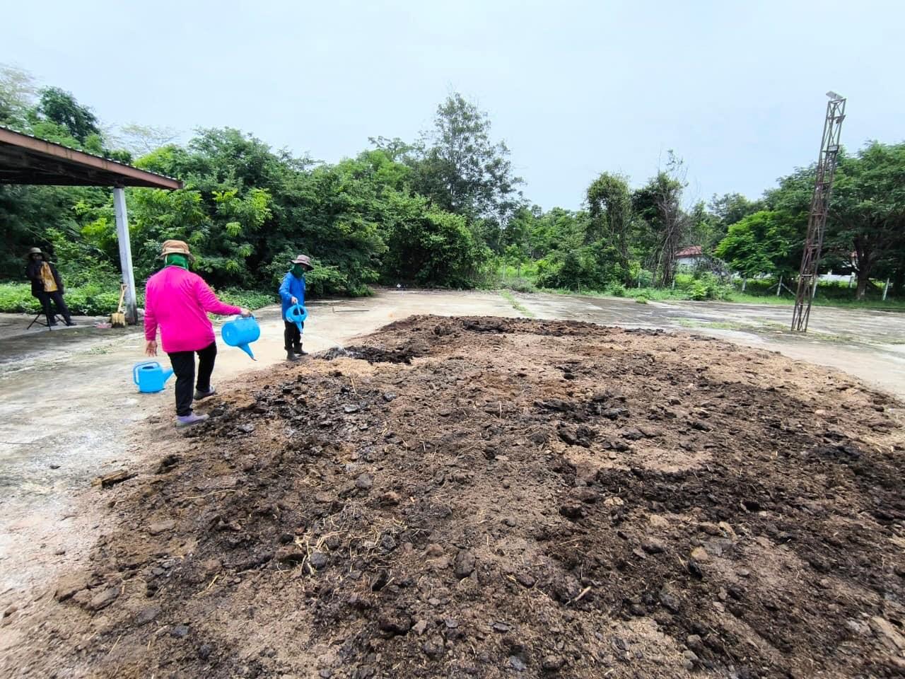 ภาพประกอบที่ 5