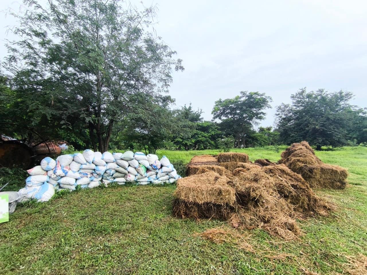 ภาพประกอบที่ 8