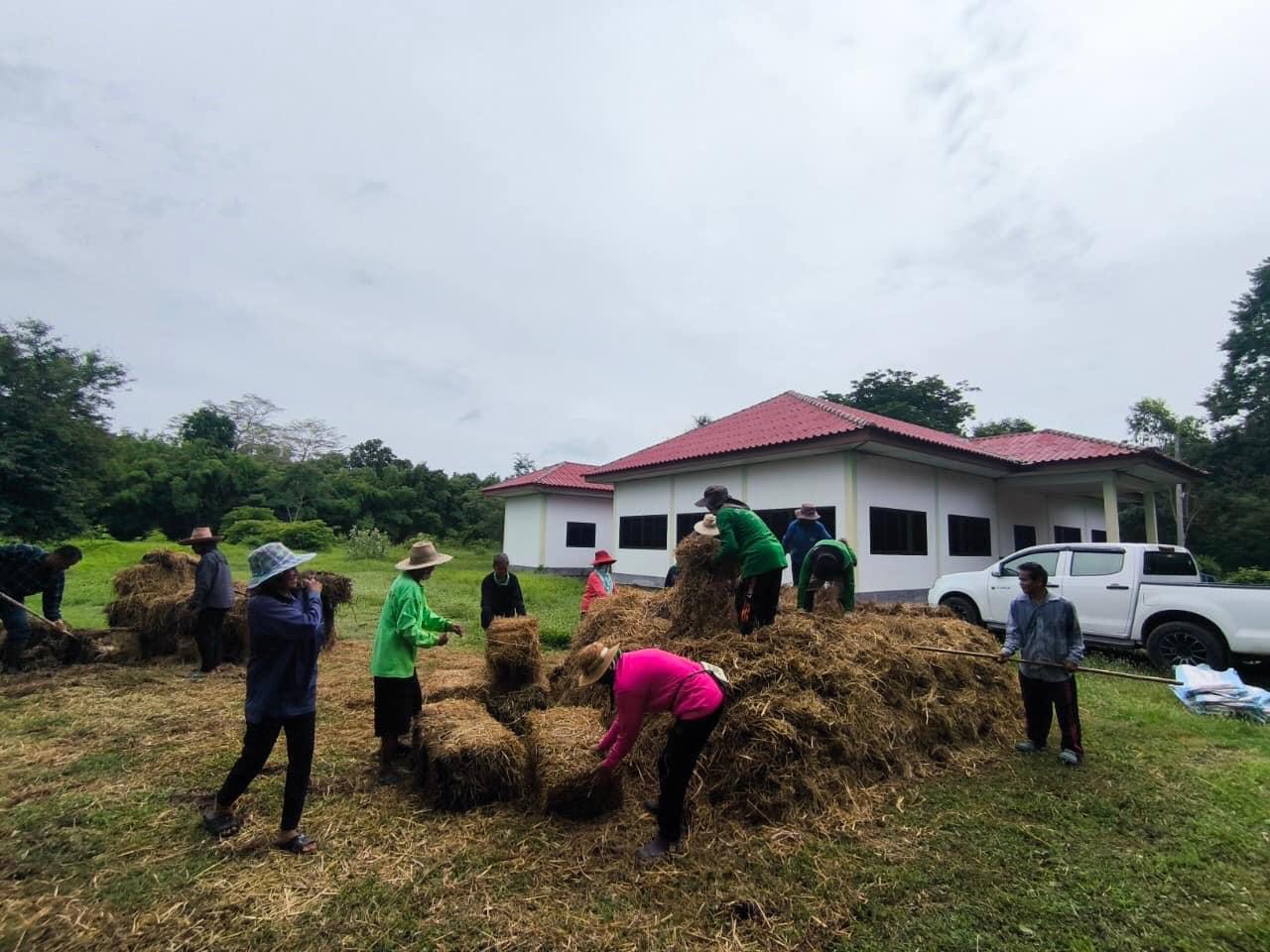 ภาพประกอบที่ 15