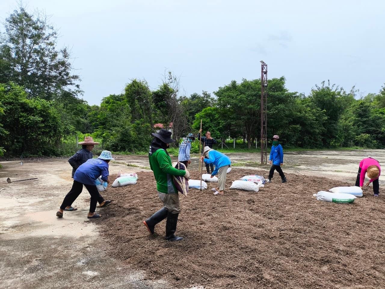 ภาพประกอบที่ 16