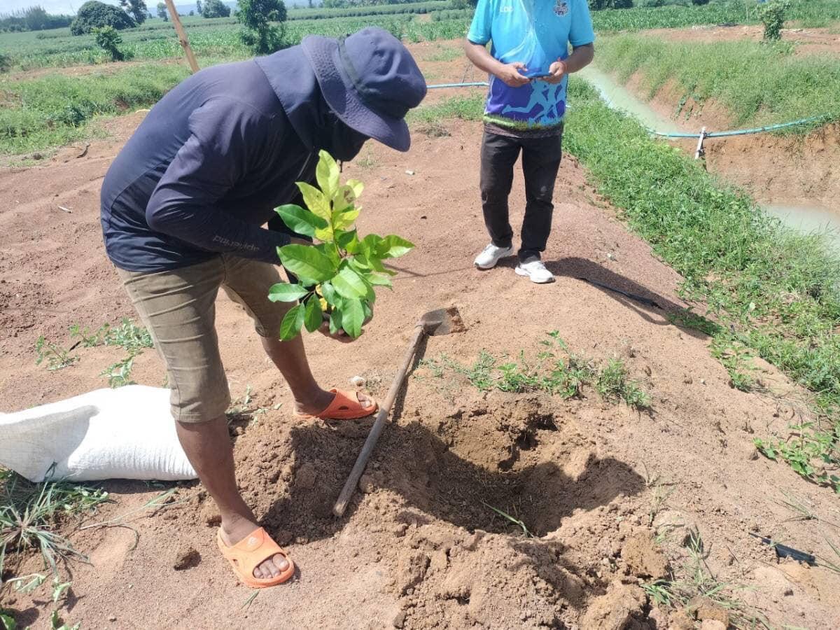 ภาพประกอบที่ 1