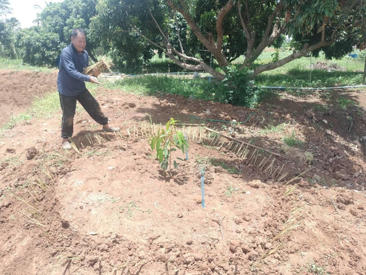 ภาพประกอบที่ 4