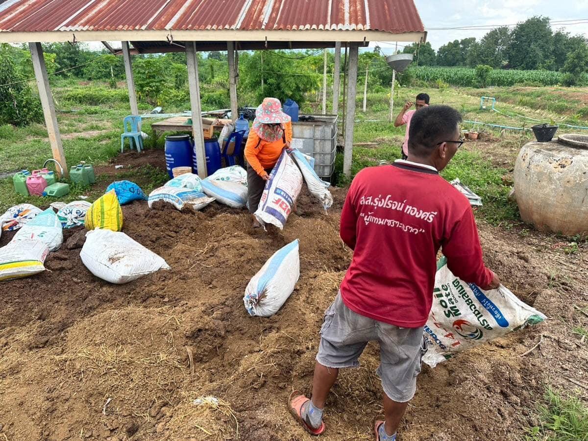 ภาพประกอบที่ 8