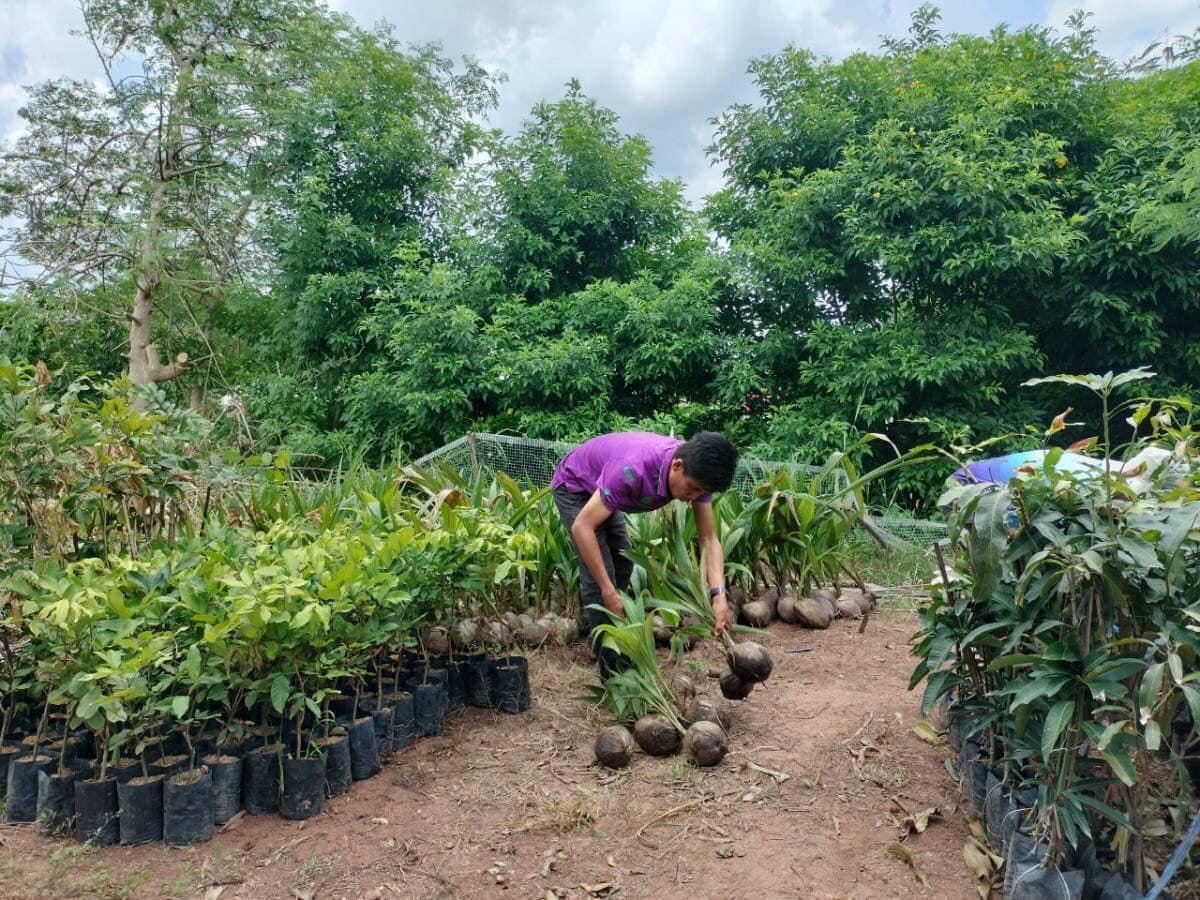 ภาพประกอบที่ 12