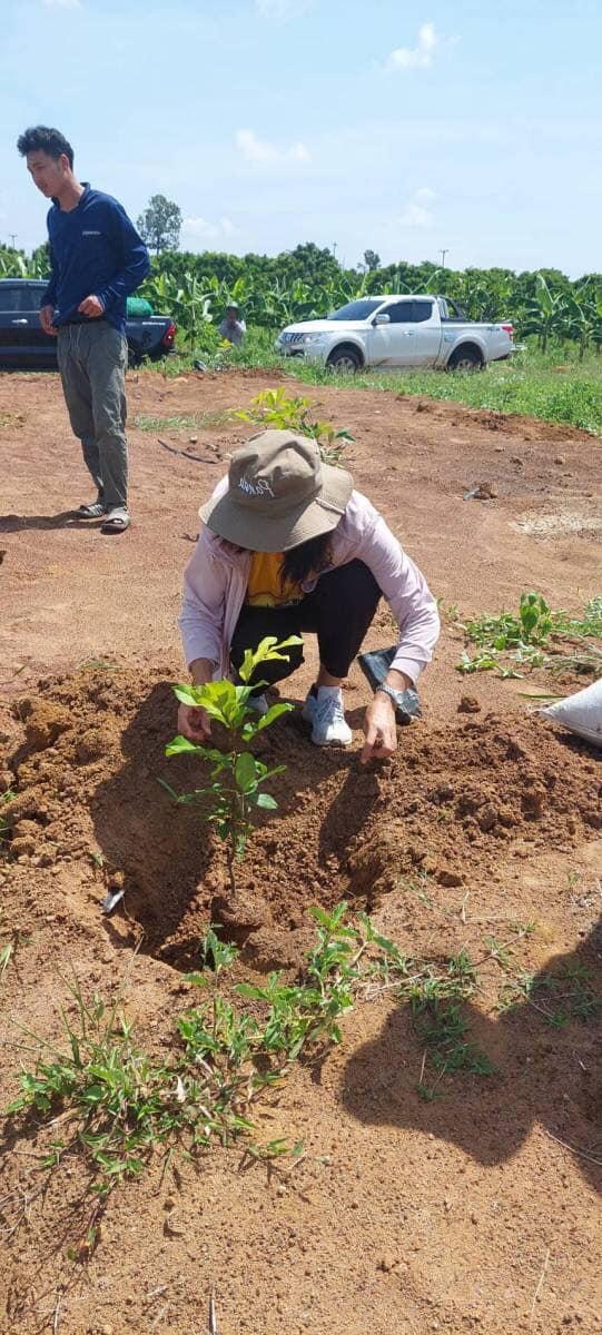 ภาพประกอบที่ 13