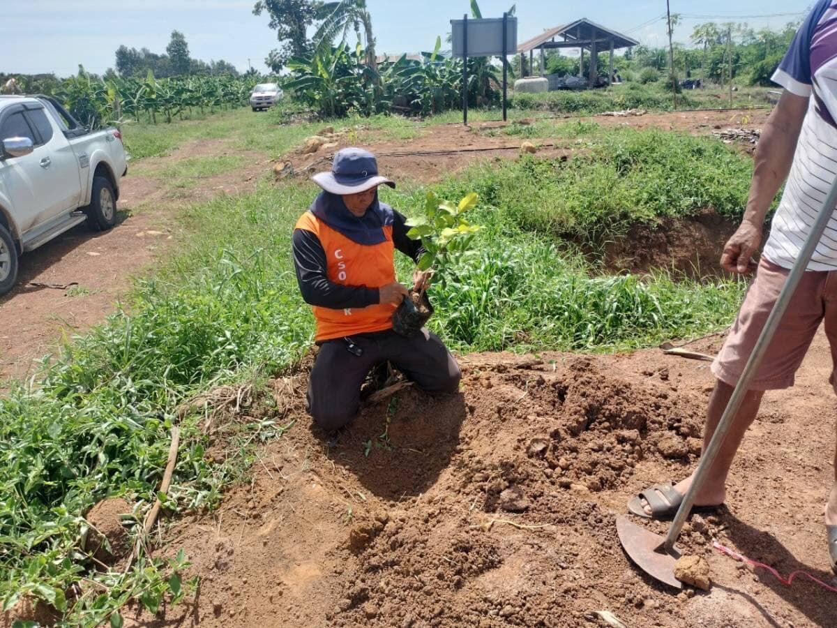 ภาพประกอบที่ 16