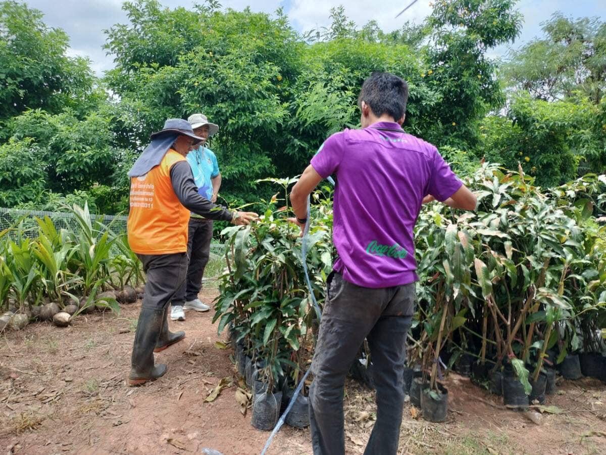 ภาพประกอบที่ 17