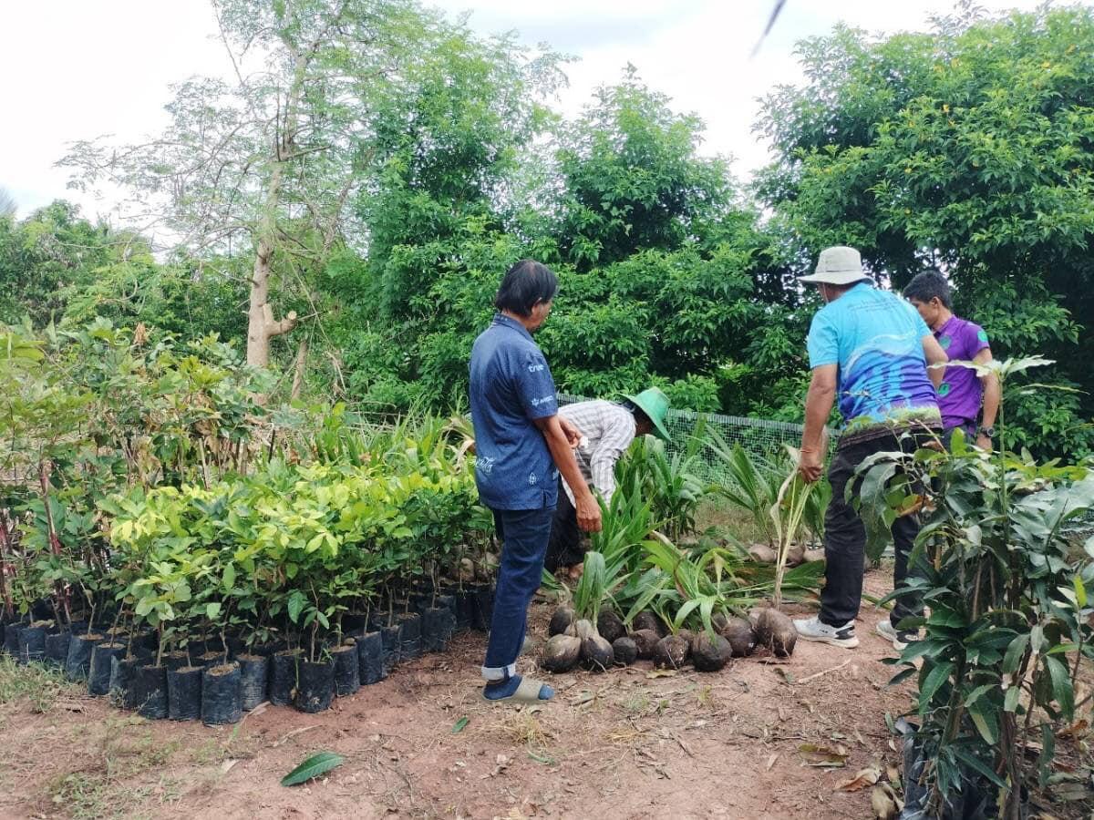 ภาพประกอบที่ 21