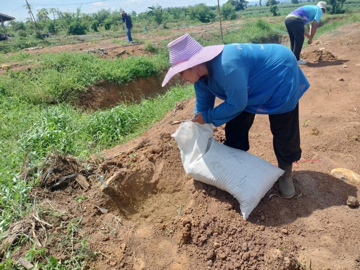 ภาพประกอบที่ 27