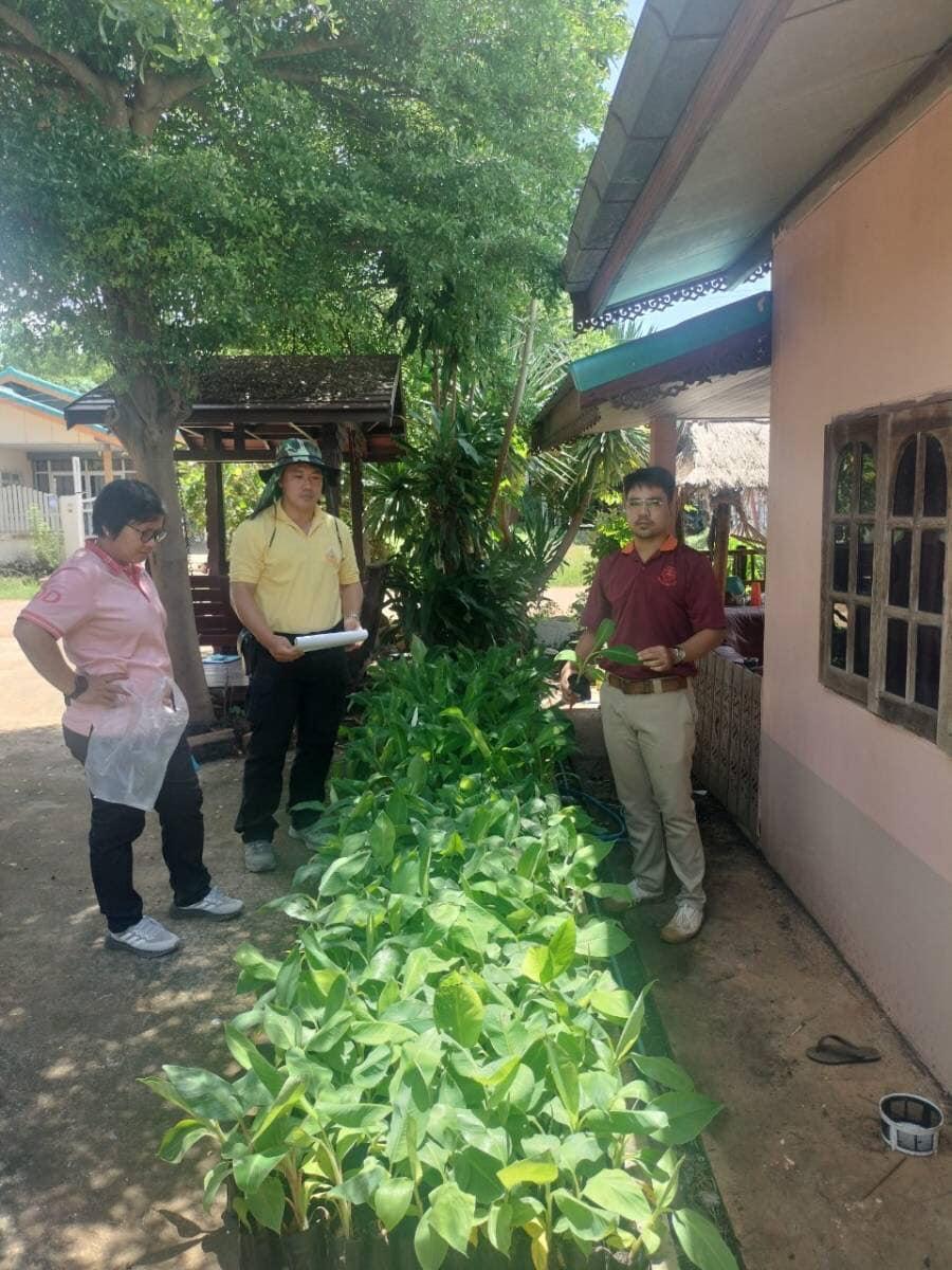 ภาพประกอบที่ 31