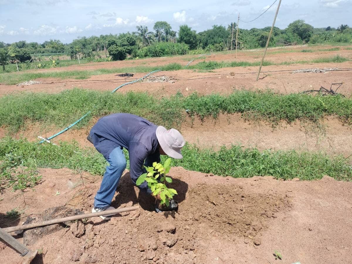 ภาพประกอบที่ 32