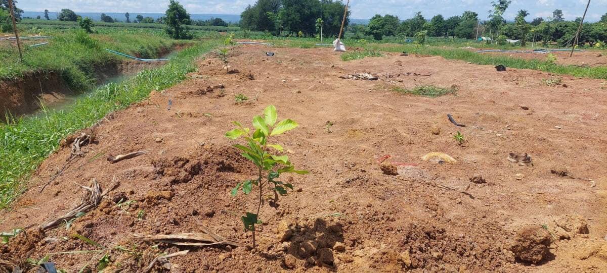 ภาพประกอบที่ 37