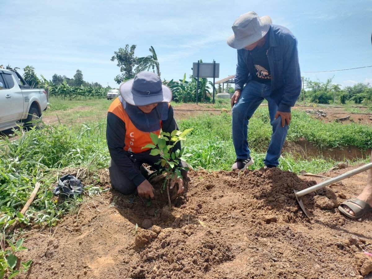 ภาพประกอบที่ 39