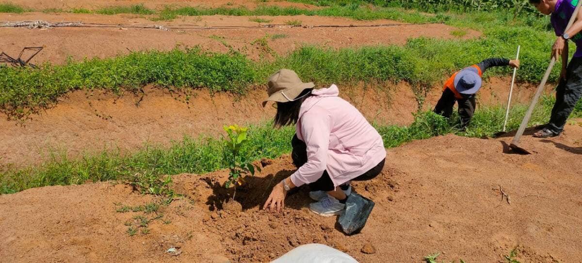 ภาพประกอบที่ 40
