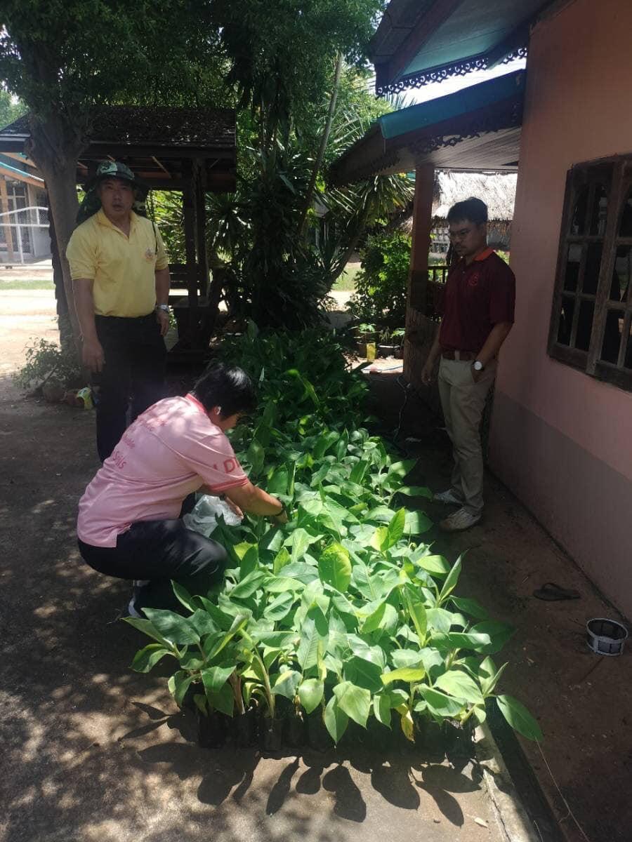 ภาพประกอบที่ 43